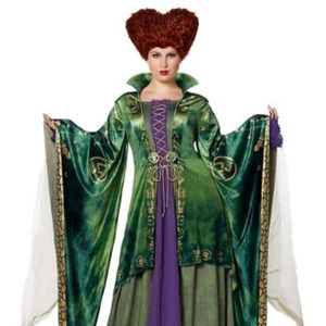 Adult Deluxe Winifred Sanderson Halloween Costume - 1X